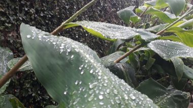 Chuva afasta rodízio mais duro em Curitiba por 30 dias