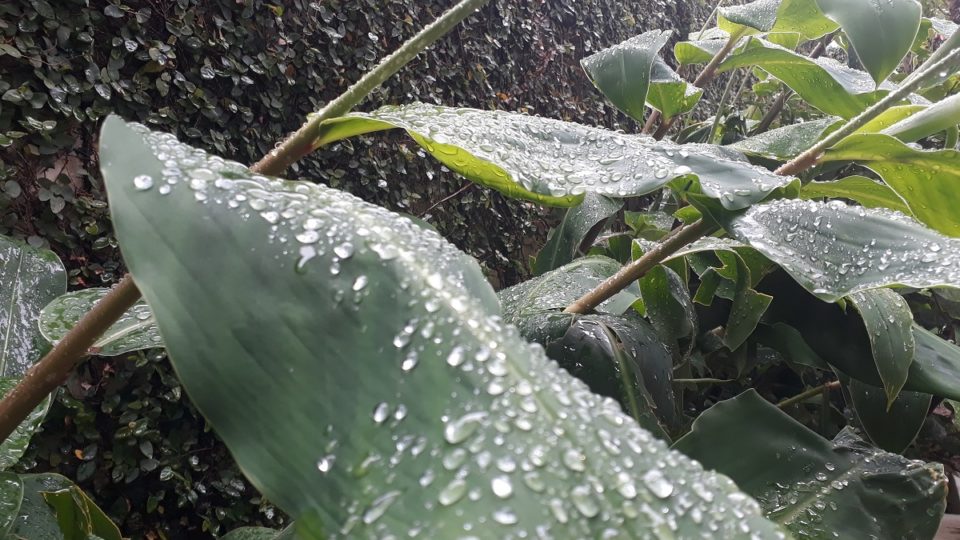 Chuva afasta rodízio mais duro em Curitiba por 30 dias