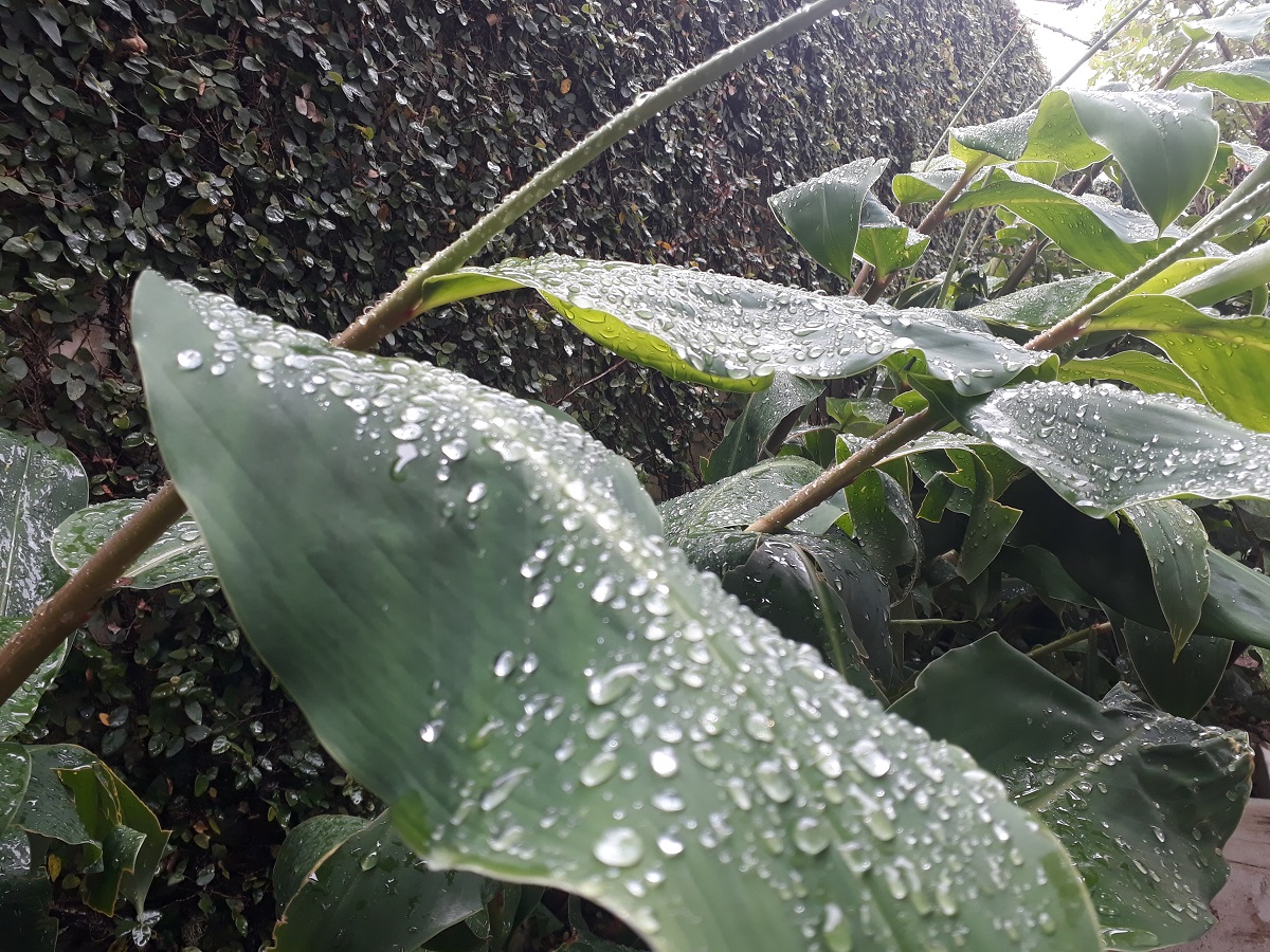 Chuva afasta rodízio mais duro em Curitiba por 30 dias